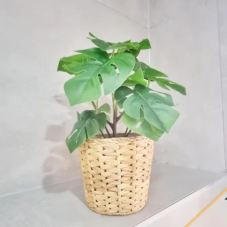 Charme Et Elegance Daire Sainte-Croix-en-Plaine